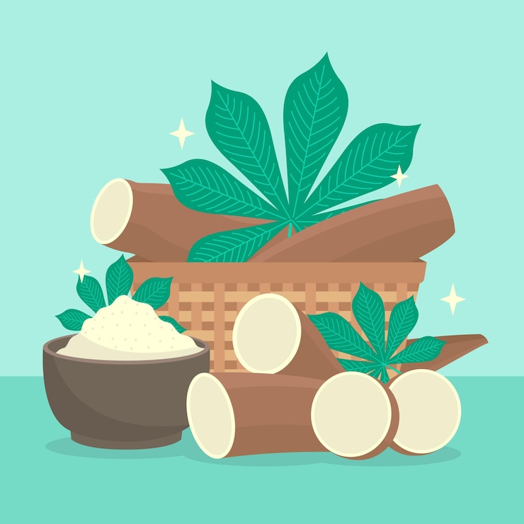 Vector dibujado a mano ilustración de tapioca