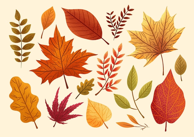 Dibujado a mano ilustración de vector de colección de hojas de otoño