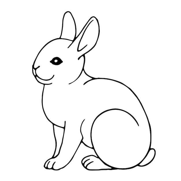 Dibujado a mano ilustración vectorial en blanco y negro de conejo