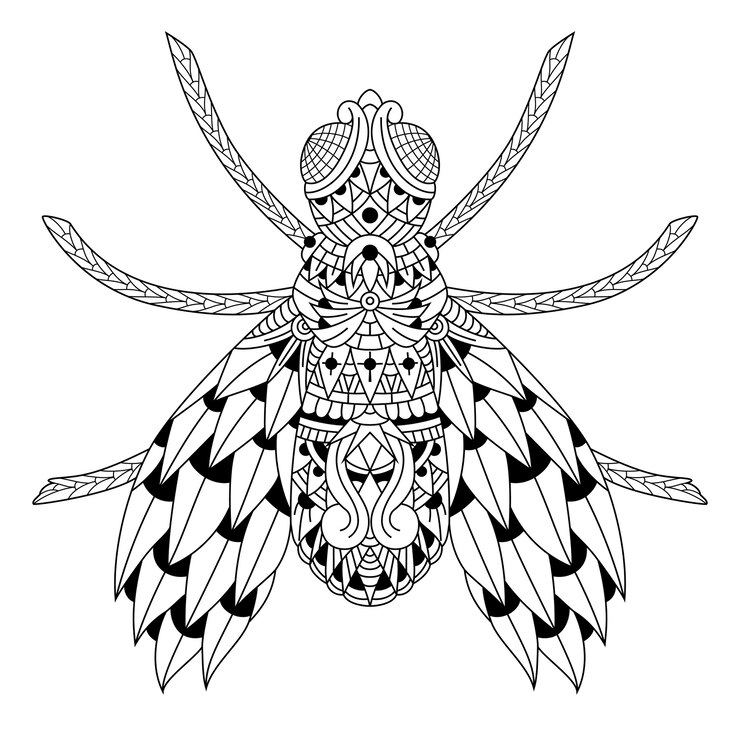 Vector dibujado a mano de moscas en estilo zentangle