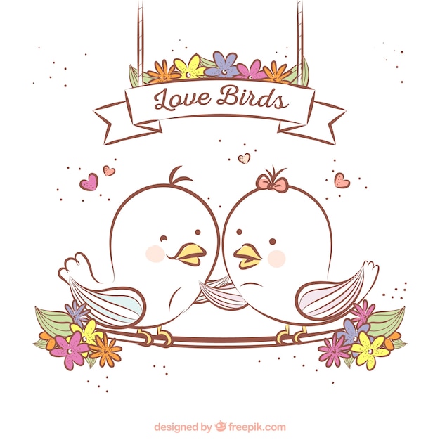 Vector dibujado a mano pájaros de amor