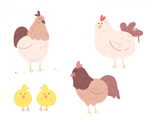 Dibujado a mano pollo y bebé. ilustración vectorial de pollo