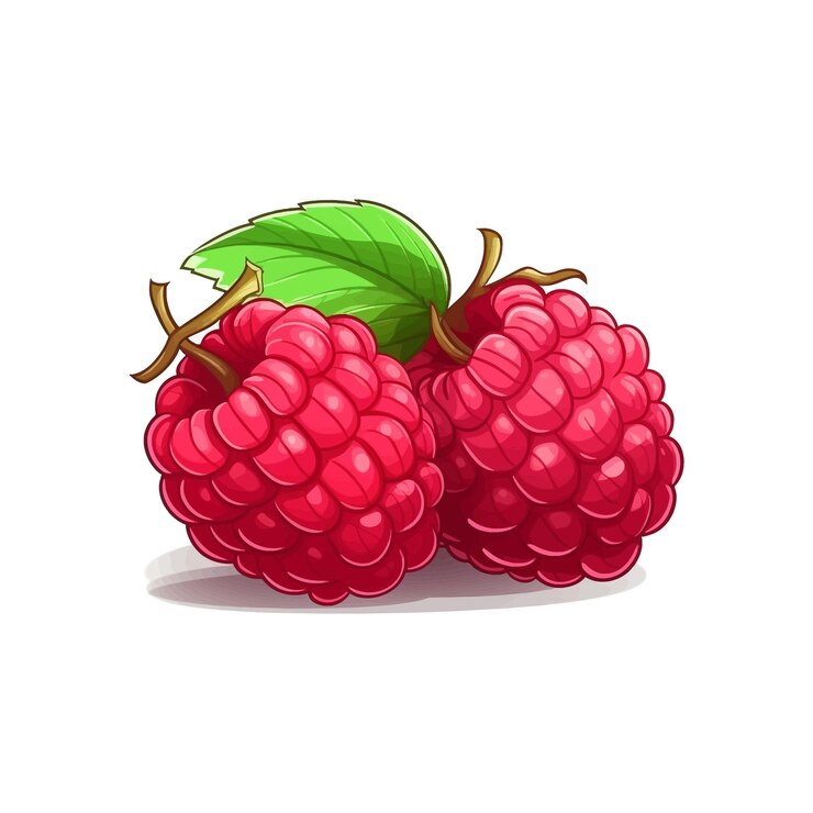 Vector dibujado a mano raspberry vector dibujos animados aislados de fondo blanco