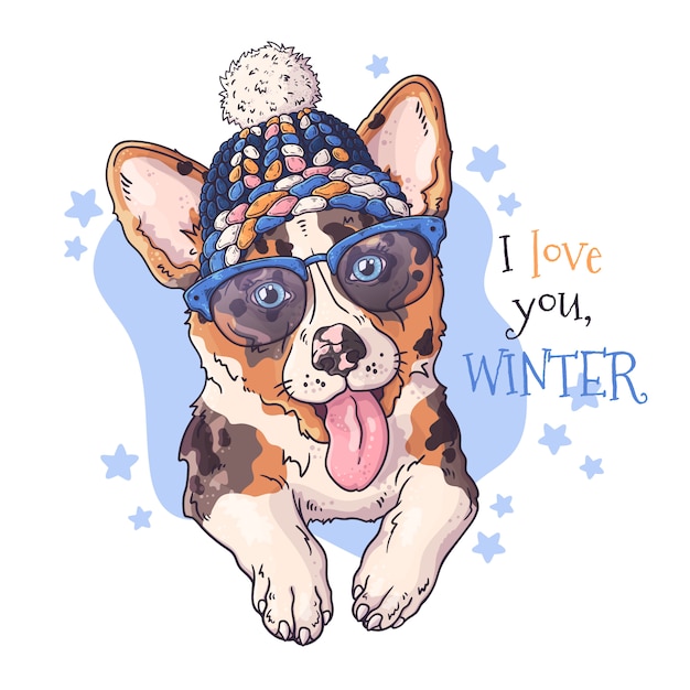 Dibujado a mano retrato de perro corgi en accesorios de Navidad.