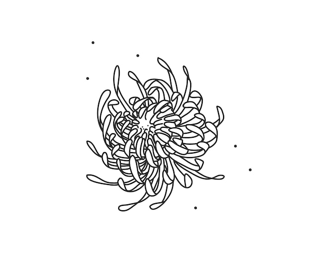 Dibujado a mano vector abstracto stock plano ilustración gráfica con elemento de logotipo de línea silueta flor arte de crisantemo en estilo simple para la marca, aislado sobre fondo blanco.
