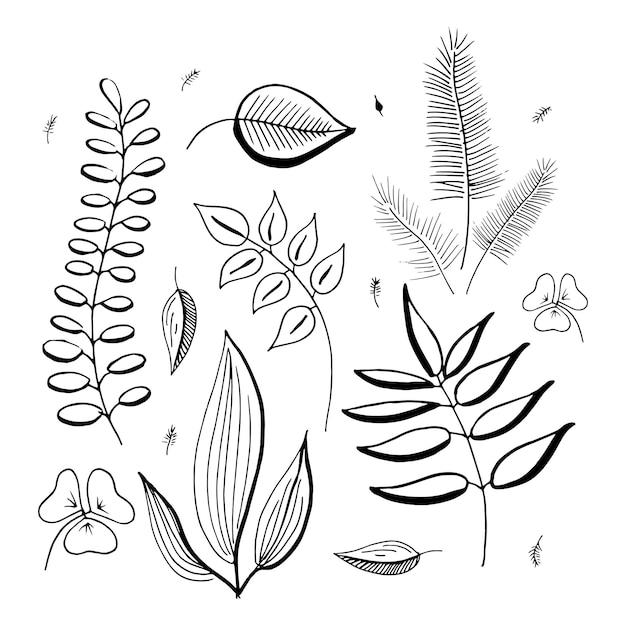 Dibujado a mano vector botánico ramas, ramitas y hojas. Conjunto de elementos simples de diseño floral. Aislado en blanco.