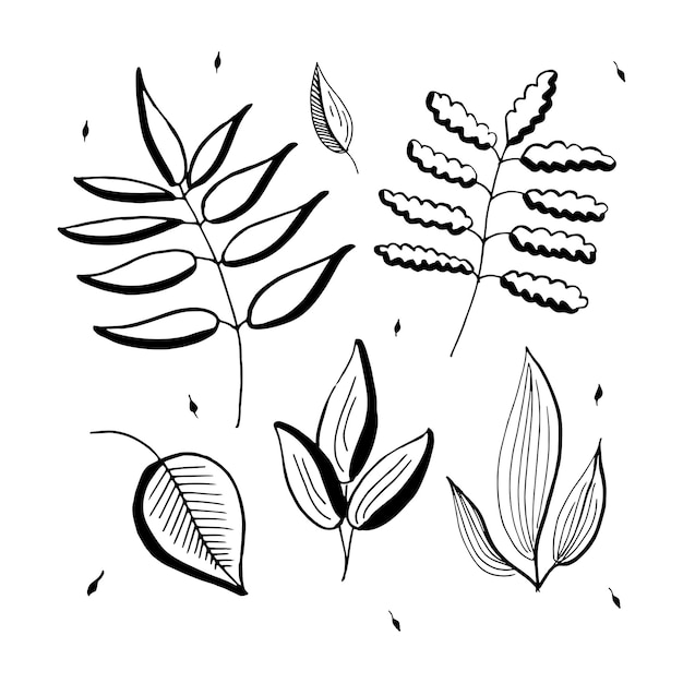 Dibujado a mano vector botánico ramas, ramitas y hojas. Conjunto de elementos simples de diseño floral. Aislado en blanco.