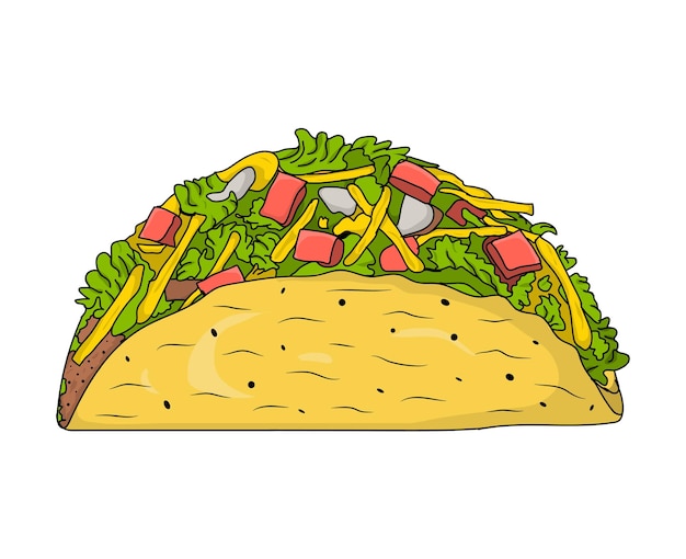 Dibujado a mano del vector de tacos