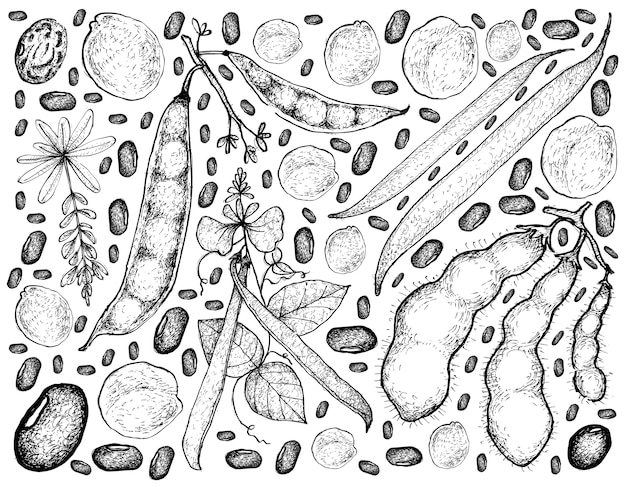 Vector dibujado a mano de verduras peladas sobre un fondo blanco