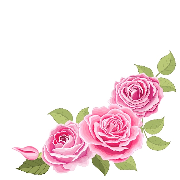 Dibujado a mano Vintage hermosas flores rosadas y hojas sobre fondo blanco Tarjeta elegante rosa