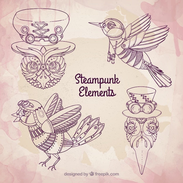 Dibujados a mano las aves steampunk