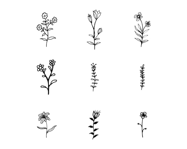 Dibujados a mano de flores