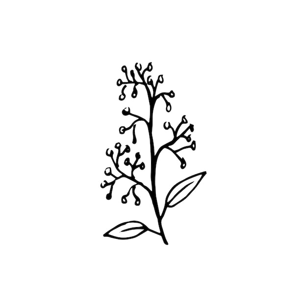 Dibujados a mano de flores
