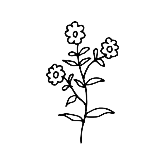 Dibujados a mano de flores