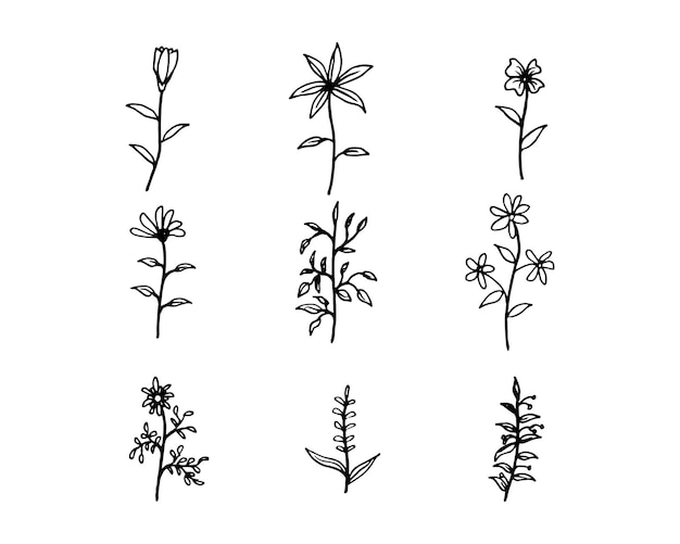 Dibujados a mano de flores