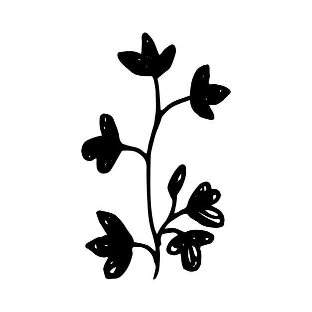Dibujados a mano de flores