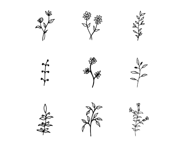Dibujados a mano de flores