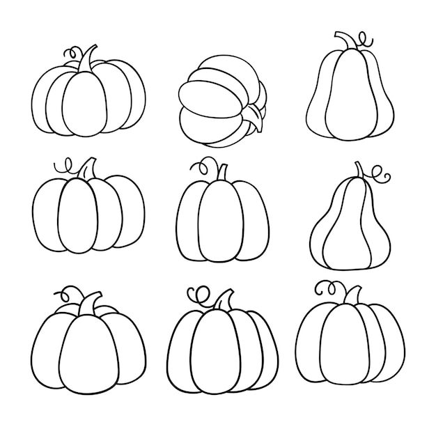 Dibujar colección contorno calabaza para otoño