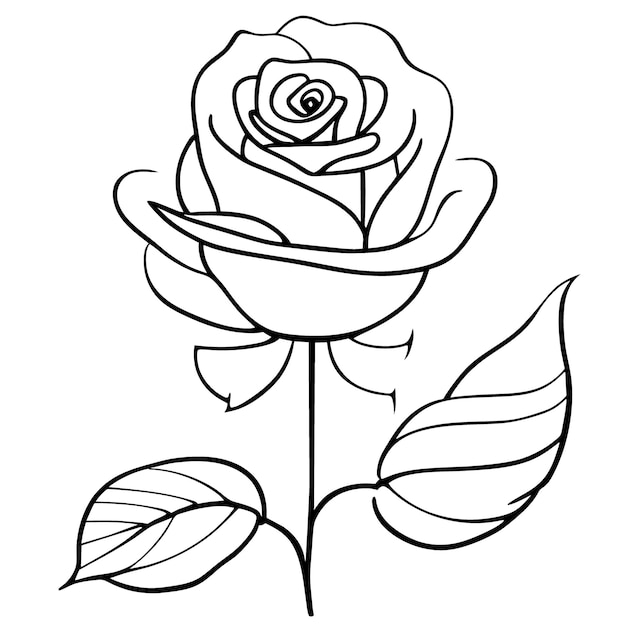 Para dibujar colorear rosas Libro de ilustraciones vectoriales de arte de línea