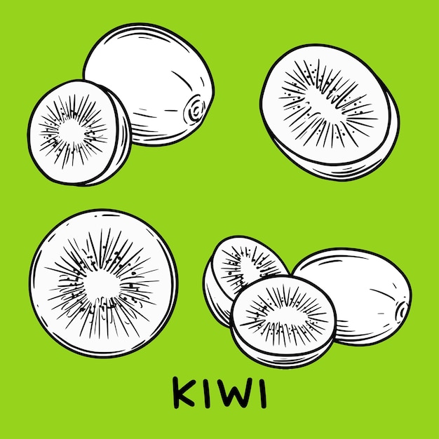 Vector dibujar frutas a mano icono de kiwi