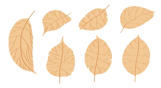 Vector dibujar hojas de manzano aisladas sobre un fondo blanco hojas caídas de otoño de manzano cosecha