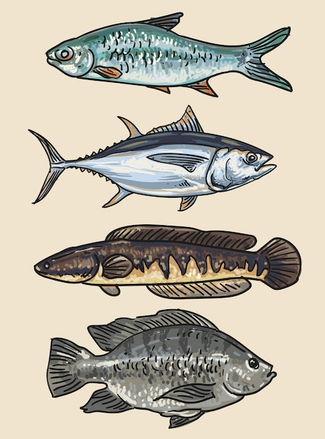 dibujar a mano la colección de colores de pescado ilustración vectorial