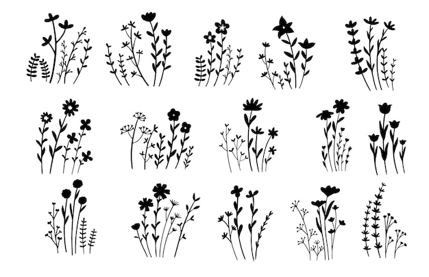 dibujar a mano elementos florales y botánicos ilustración vectorial