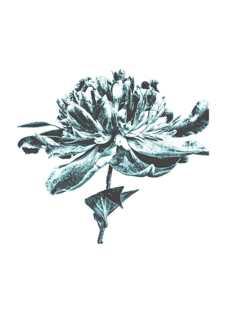 Vector dibujar a mano flores y hojas en estilo retro