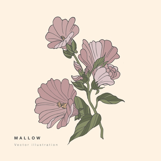 Dibujar a mano ilustración de flores de malva