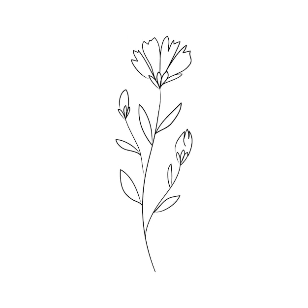 Dibujar una rama de una hoja a mano sobre un fondo aislado