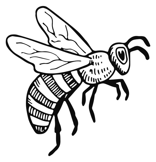 dibujo de abeja insecto volador de miel animal alado