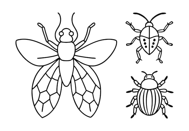 un dibujo de una abeja y una mosca con un fondo blanco y negro