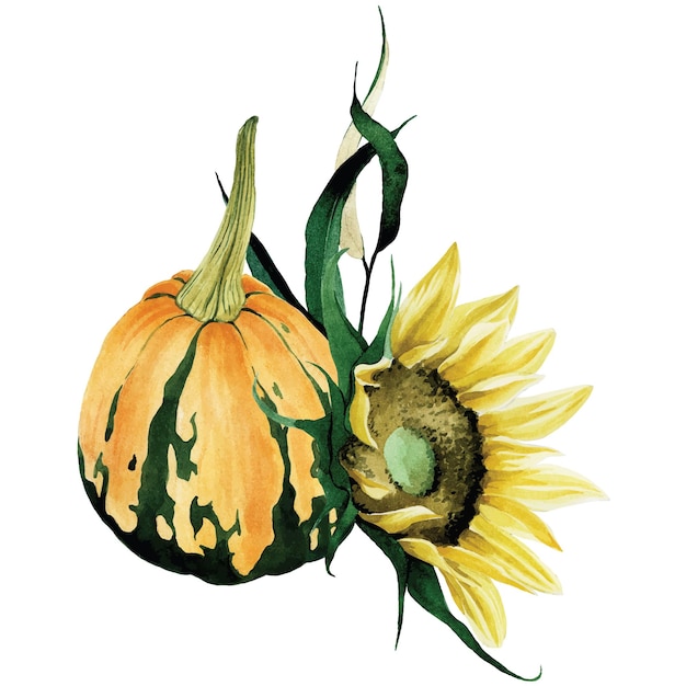 Dibujo de acuarela al estilo del realismo composición de ramo de flores de otoño y calabazas