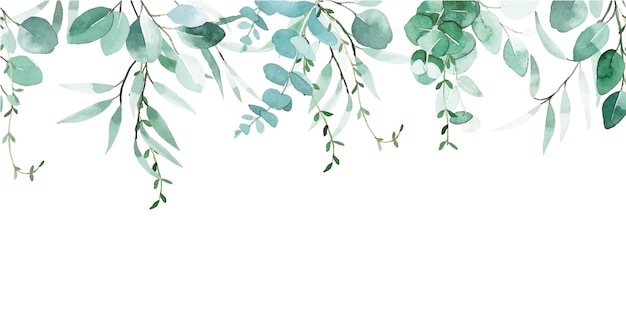 Vector dibujo de acuarela borde sin costuras con hojas de eucalipto dibujo vintage