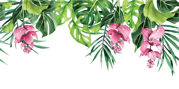 Vector dibujo de acuarela. borde horizontal con hojas y flores tropicales. pancarta con palma verde