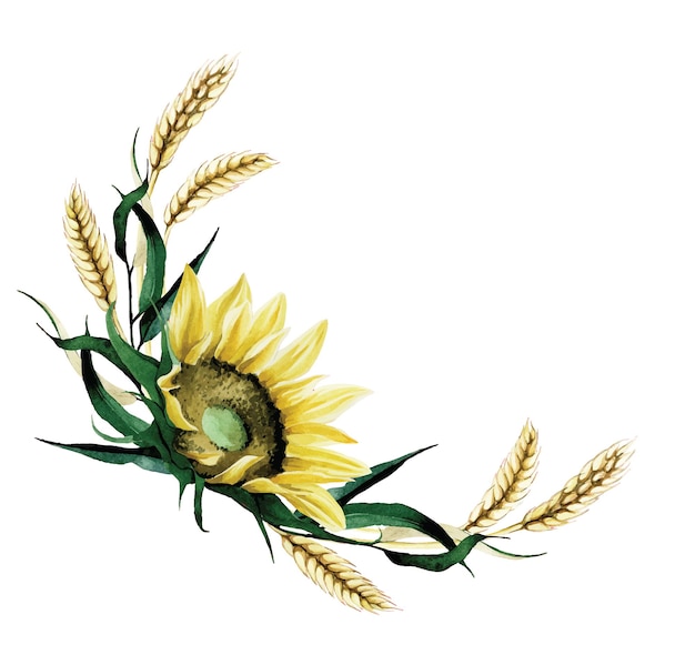 Dibujo de acuarela composición otoñal de flores de un girasol y hojas de otoño espigas de trigo