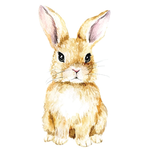 Vector dibujo de acuarela conejo lindo conejo de pascua aislado en fondo blanco clipart realista