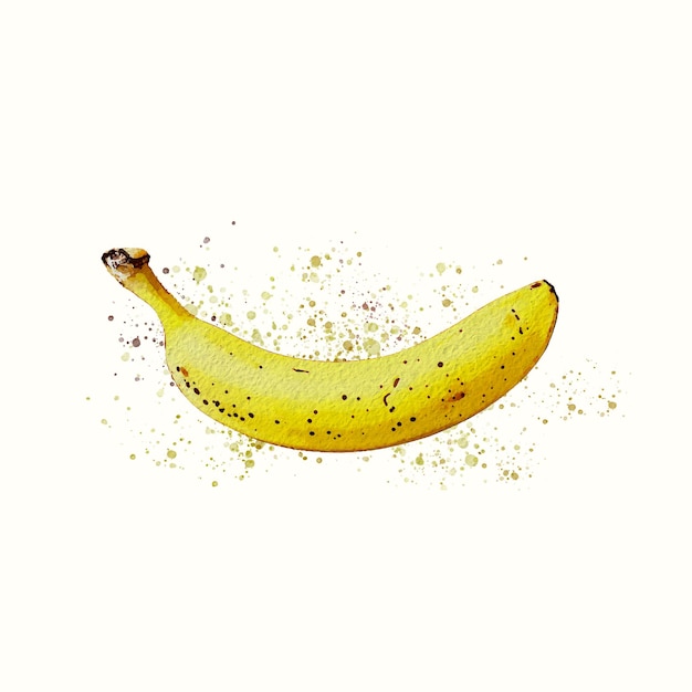 Dibujo de acuarela de plátano
