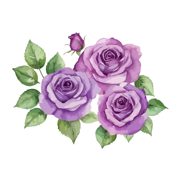 un dibujo a la acuarela de rosas púrpuras con hojas verdes