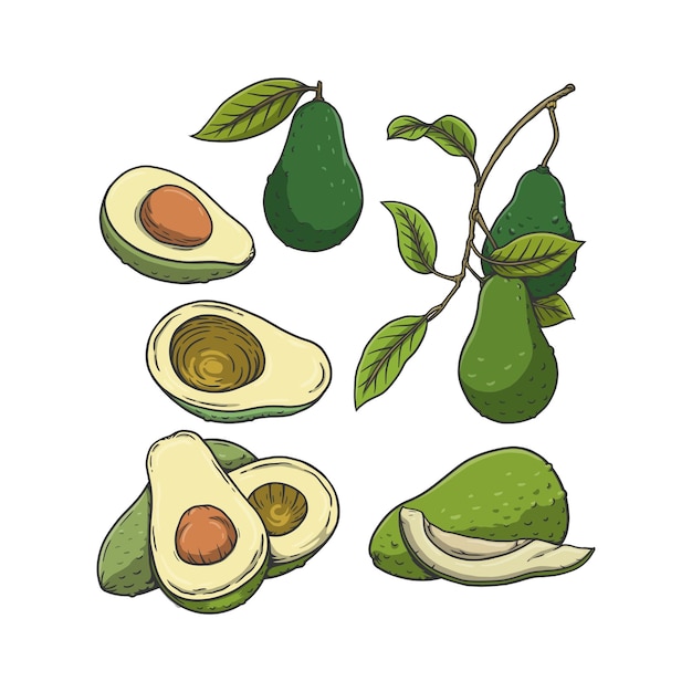 un dibujo de aguacate y aguacate con una hoja verde