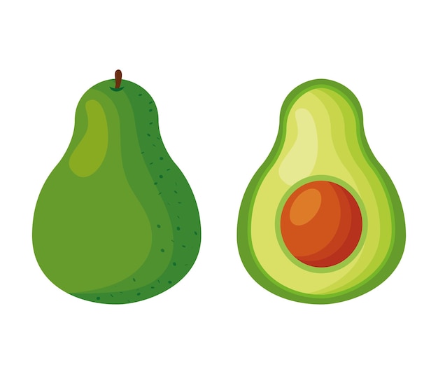 Dibujo de aguacate aislado sobre fondo blanco. ilustración vectorial