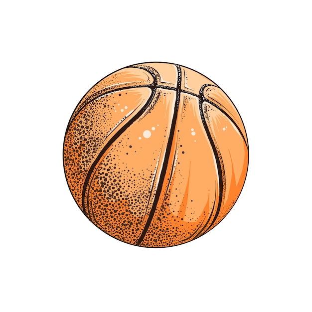 Vector dibujo aislado de pelota de baloncesto en color.