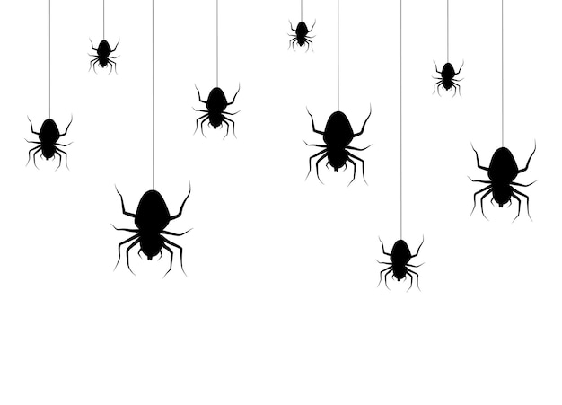 Dibujo aislado vectorial con arañas colgantes para decoración y revestimiento. Fondo espeluznante de Halloween. Negro.