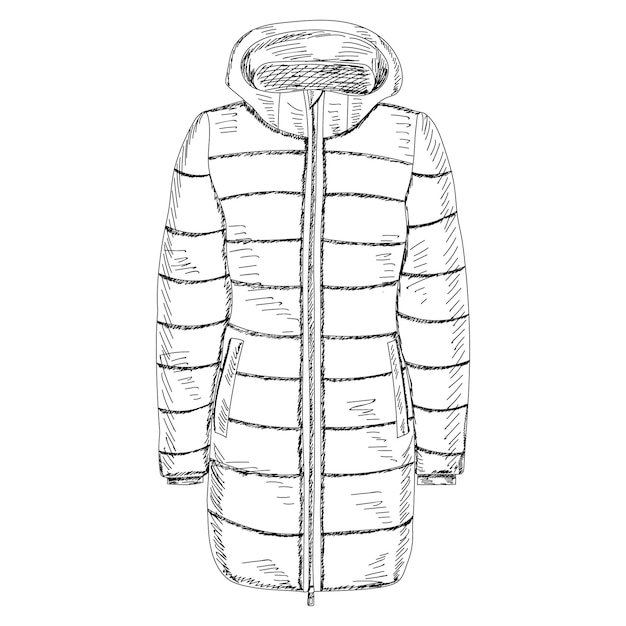 Dibujo aislado vectorial con chaqueta de abrigo femenino de líneas