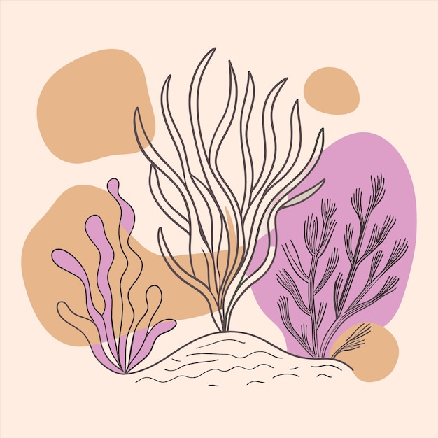 un dibujo de un alga y un alga