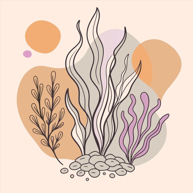 un dibujo de un alga y un coral con un corazón en el fondo