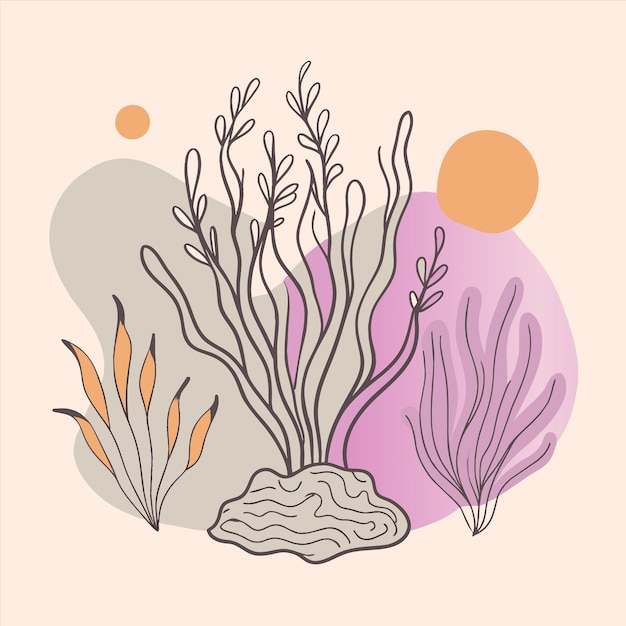 un dibujo de un alga y coral con las palabras corales