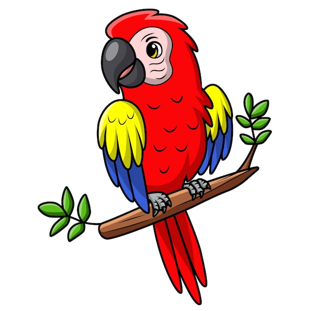 El dibujo animado del pájaro guacamayo en fondo blanco