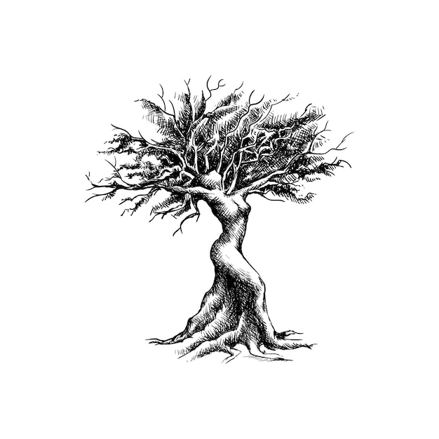 Vector un dibujo de árbol con el concepto de mujer.