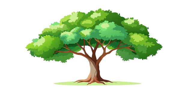 un dibujo de un árbol con un dibujado de un árbol en un fondo blanco